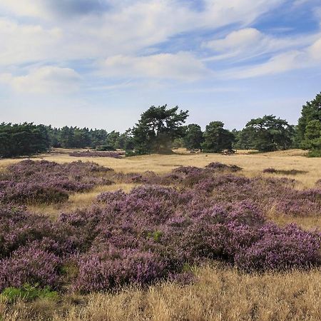 Chalet Op De Veluwe # Berk พุทเทิน ภายนอก รูปภาพ