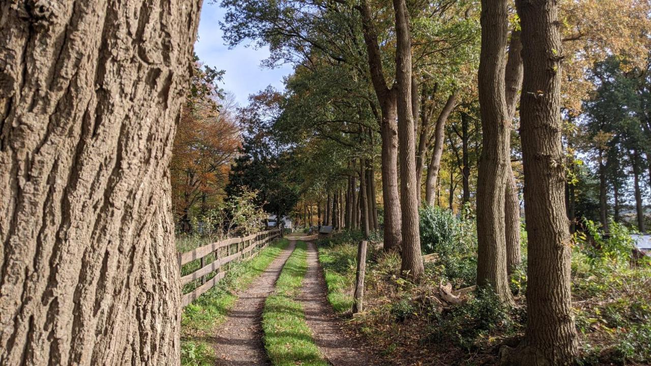 Chalet Op De Veluwe # Berk พุทเทิน ภายนอก รูปภาพ