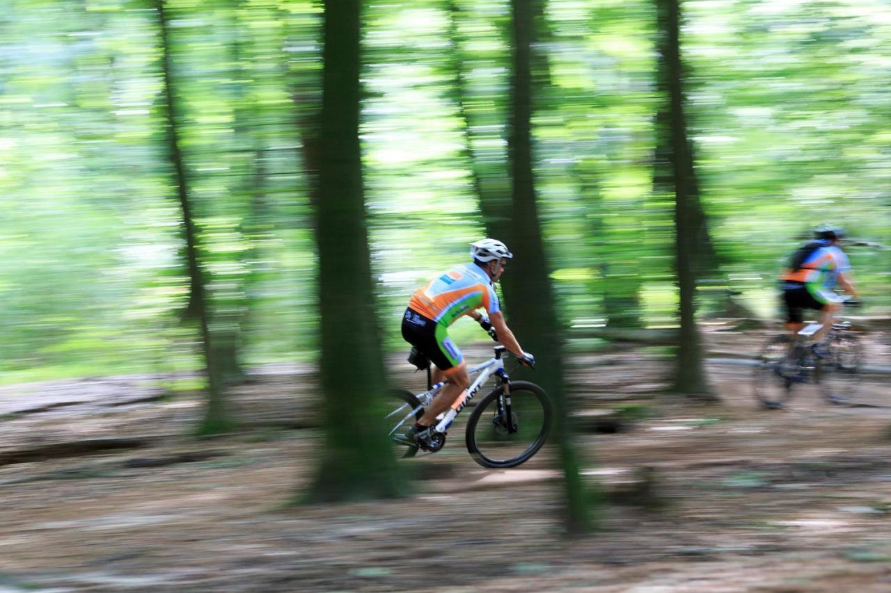 Chalet Op De Veluwe # Berk พุทเทิน ภายนอก รูปภาพ