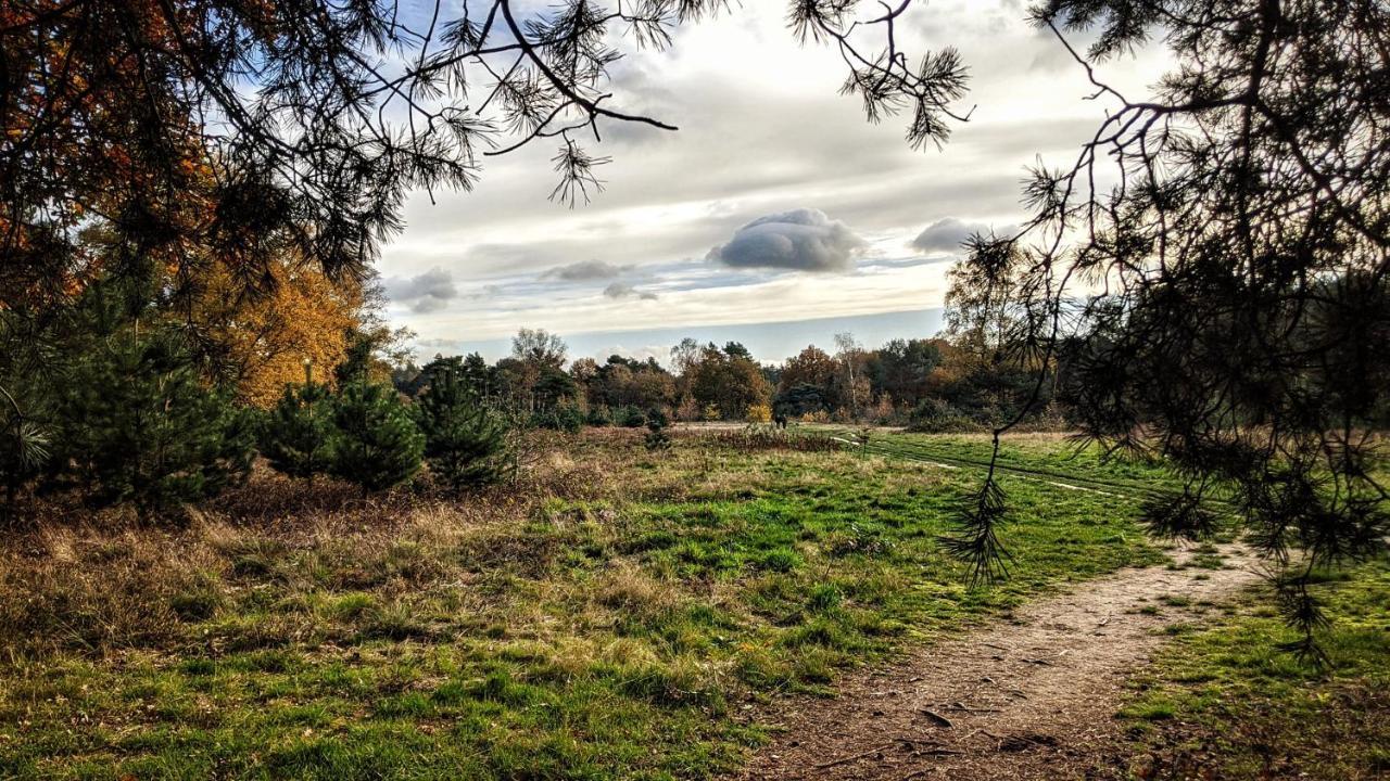 Chalet Op De Veluwe # Berk พุทเทิน ภายนอก รูปภาพ