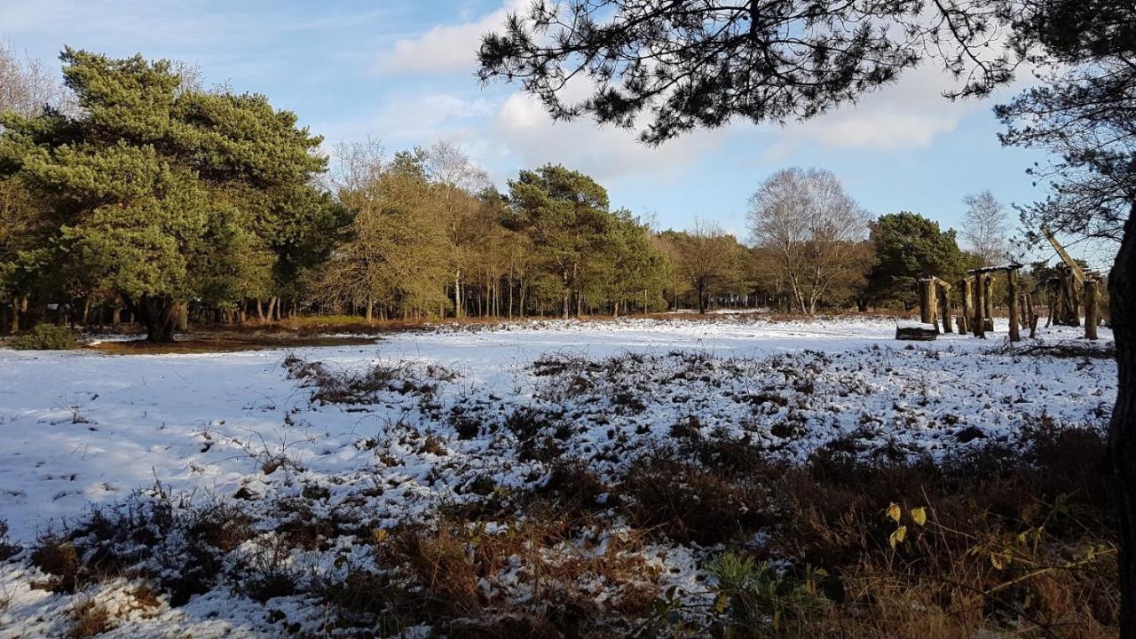 Chalet Op De Veluwe # Berk พุทเทิน ภายนอก รูปภาพ