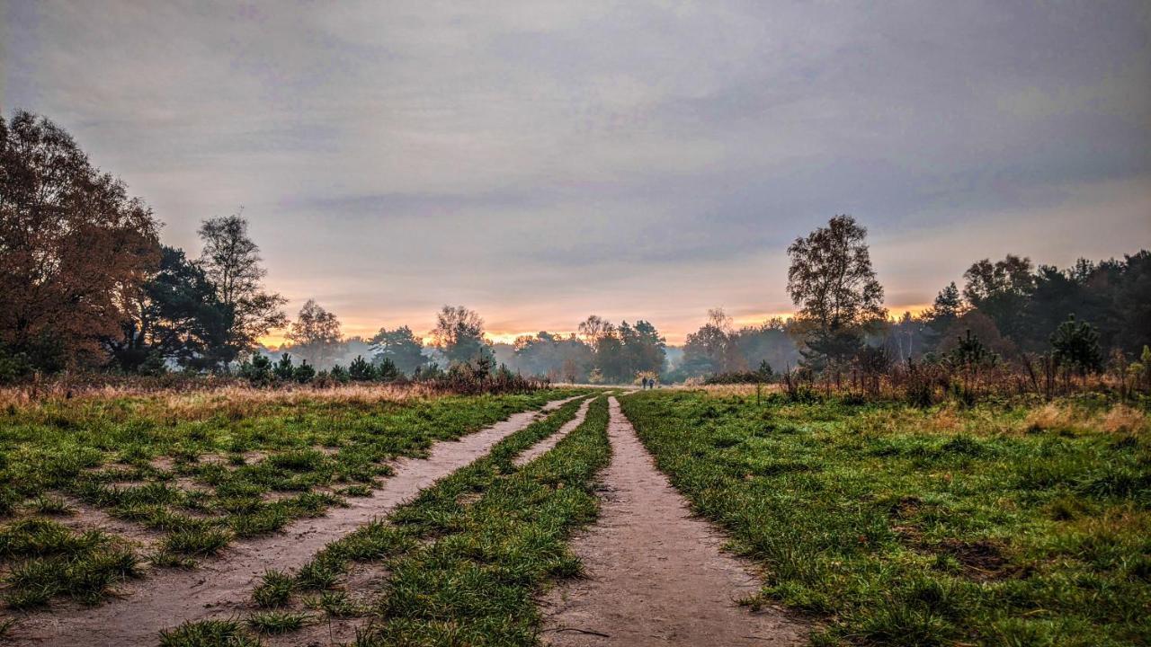 Chalet Op De Veluwe # Berk พุทเทิน ภายนอก รูปภาพ