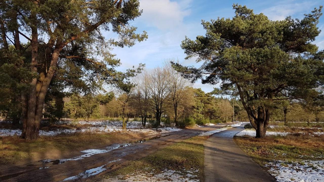 Chalet Op De Veluwe # Berk พุทเทิน ภายนอก รูปภาพ