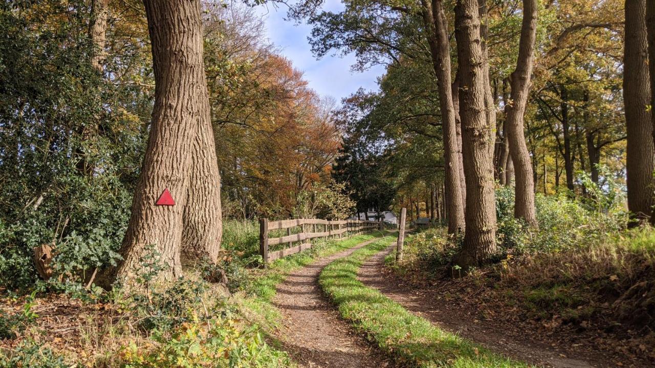 Chalet Op De Veluwe # Berk พุทเทิน ภายนอก รูปภาพ
